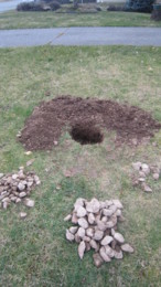 f:id:mosshaven:20120301184025j:image