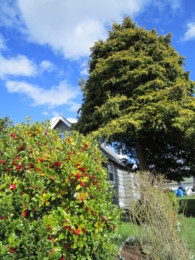 f:id:mosshaven:20120318160141j:image