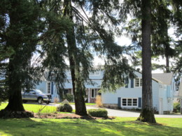 f:id:mosshaven:20120318160514j:image