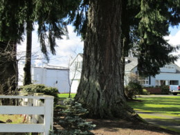 f:id:mosshaven:20120318160836j:image