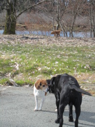 f:id:mosshaven:20120318160947j:image