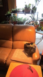 f:id:mosshaven:20130218162622j:image