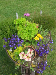 f:id:mosshaven:20130629145033j:image