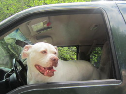 f:id:mosshaven:20130702154119j:image