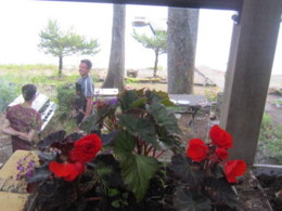 f:id:mosshaven:20130702161328j:image