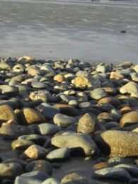 f:id:mosshaven:20131215170718j:image f:id:mosshaven:20131215170718j:image