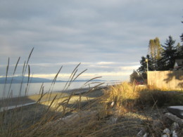 f:id:mosshaven:20131215171139j:image f:id:mosshaven:20131215171139j:image