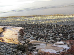 f:id:mosshaven:20131215172129j:image f:id:mosshaven:20131215172129j:image