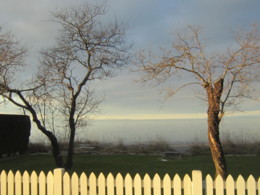 f:id:mosshaven:20131215173732j:image f:id:mosshaven:20131215173732j:image