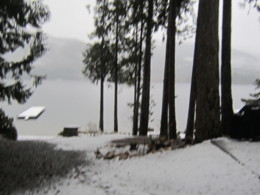 f:id:mosshaven:20140220183101j:image