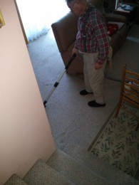 f:id:mosshaven:20140507151352j:image