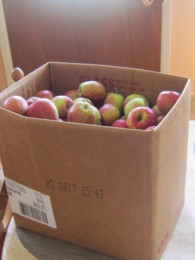 f:id:mosshaven:20141004163909j:image