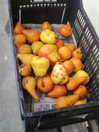 f:id:mosshaven:20141004164656j:image