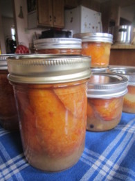 f:id:mosshaven:20141004164720j:image