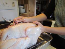 f:id:mosshaven:20150102121500j:image