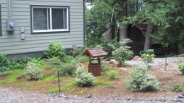 f:id:mosshaven:20150701055910j:image