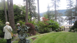 f:id:mosshaven:20150701062208j:image