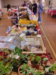 f:id:mosshaven:20151119044822j:image f:id:mosshaven:20151119044822j:image