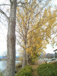 f:id:mosshaven:20151119052408j:image f:id:mosshaven:20151119052408j:image