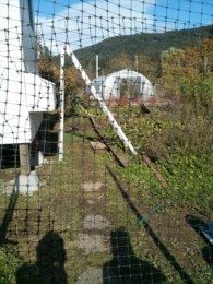 f:id:mosshaven:20161020042129j:image f:id:mosshaven:20161020042129j:image