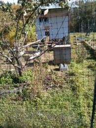 f:id:mosshaven:20161020042747j:image f:id:mosshaven:20161020042747j:image