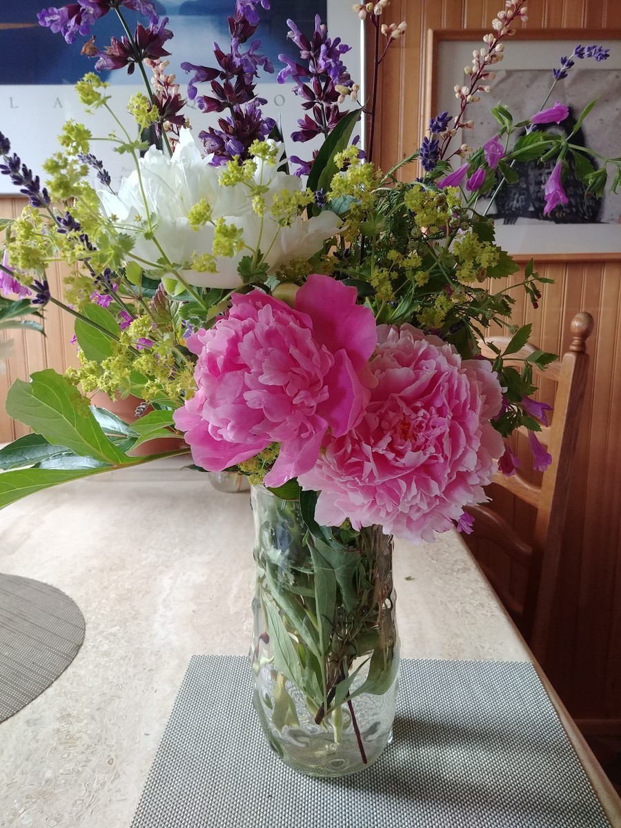 f:id:mosshaven:20200619175833j:plain