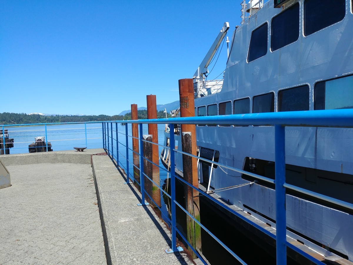 f:id:mosshaven:20200701091247j:plain f:id:mosshaven:20200701091247j:plain