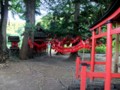 [遠野][神社]卯子酉様