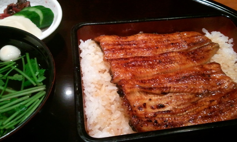 f:id:mosshm:20111120180622j:image:w320:left
