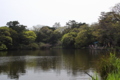 [神社]引手力命神社(大瀬神社) 神池