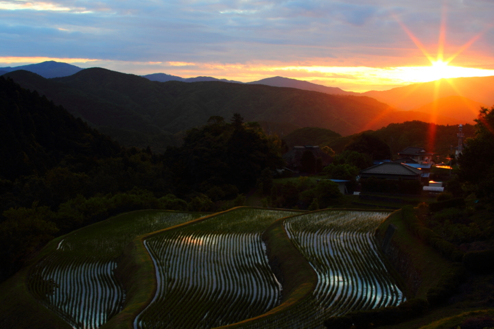 荒原の棚田