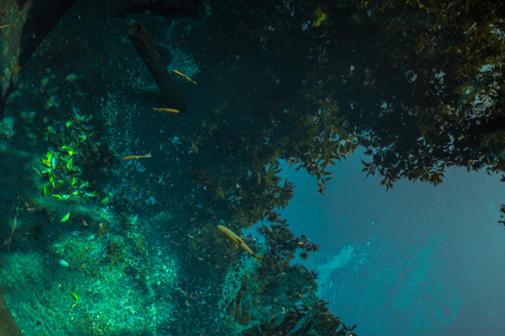 f:id:mosshm:20130708163030j:image