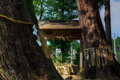 [神社]伊豆市八幡 来宮神社 鳥居杉と手水場