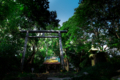 [神社]下田浅間神社 山頂・本殿