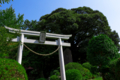 [神社]伊豆市湯ヶ島 天城神社