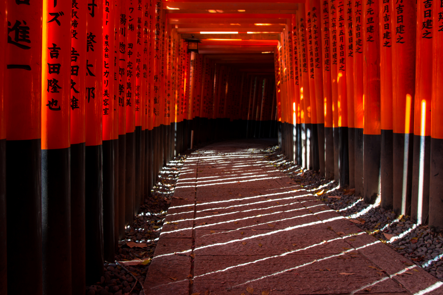 個別「[神社][伏見稲荷]京都伏見稲荷大社 千本鳥居(2)」の写真、画像 mosshm's fotolife
