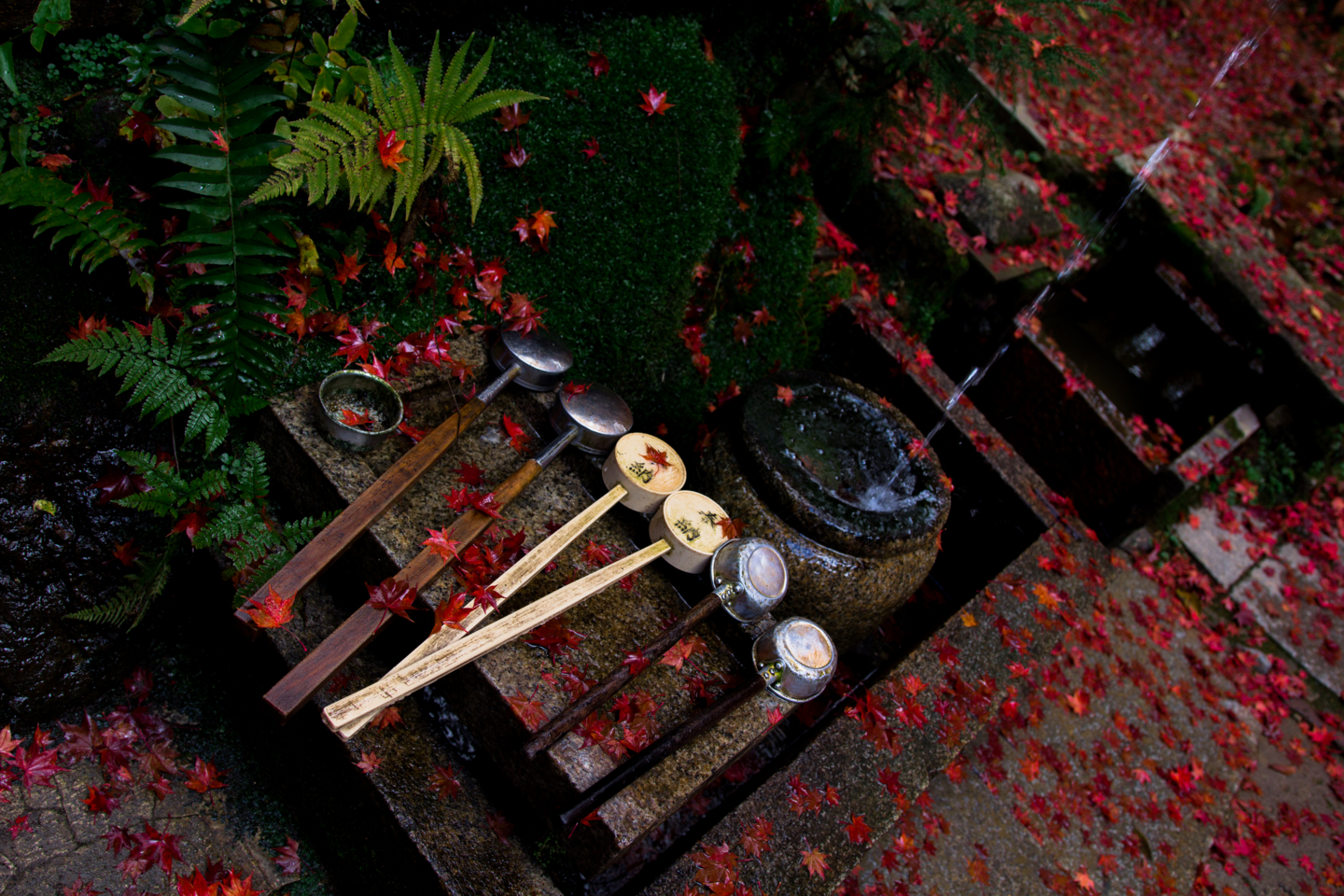 f:id:mosshm:20131128170833j:image:w720