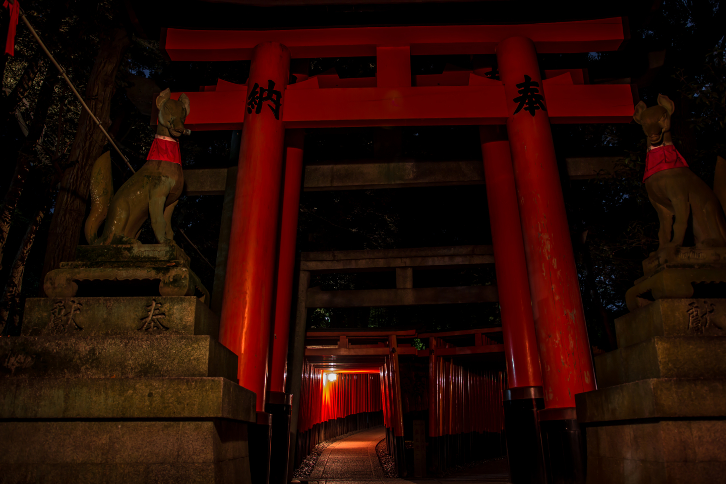 f:id:mosshm:20131128172806j:image:w720
