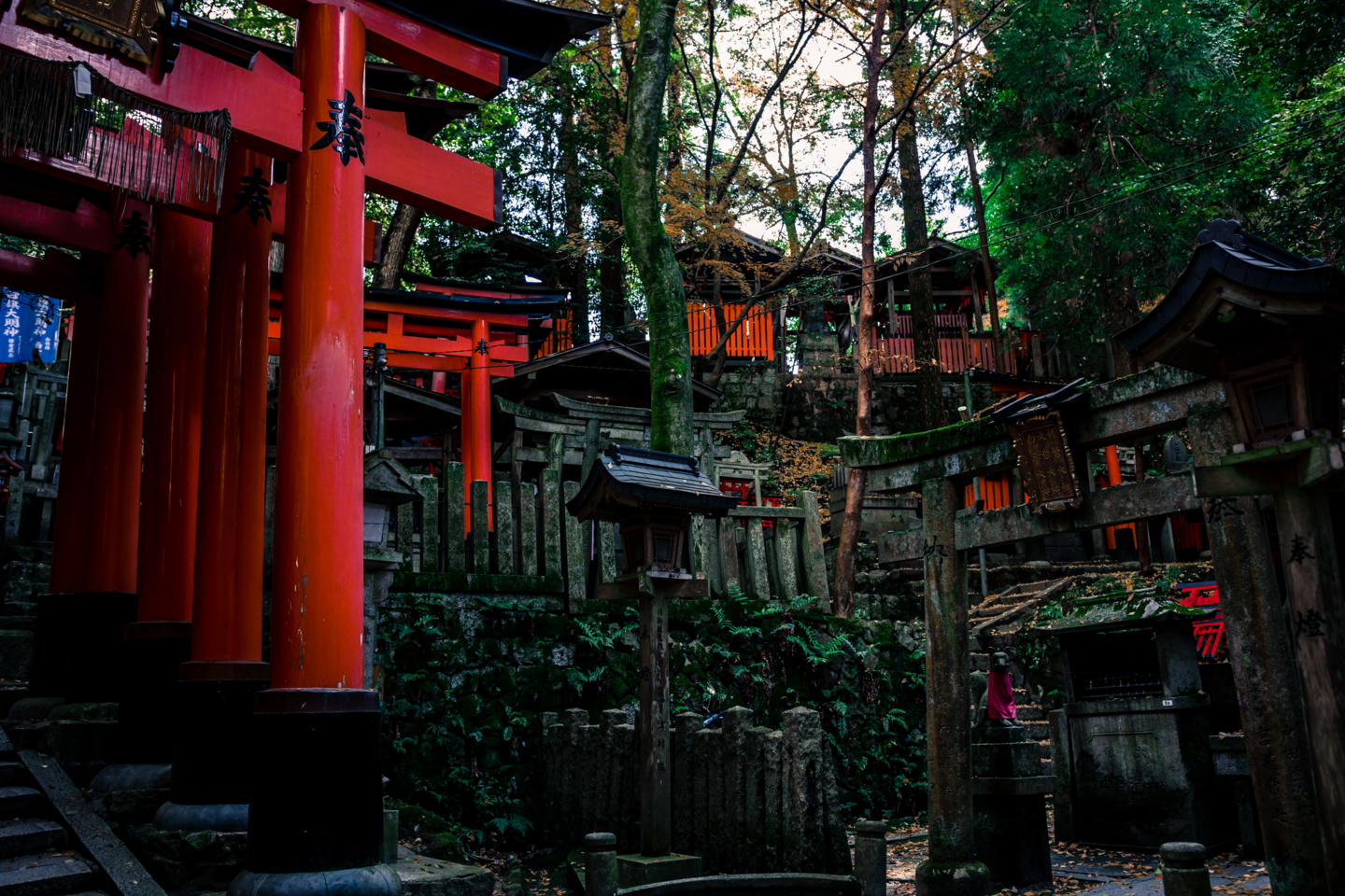 f:id:mosshm:20131130154921j:image:w720