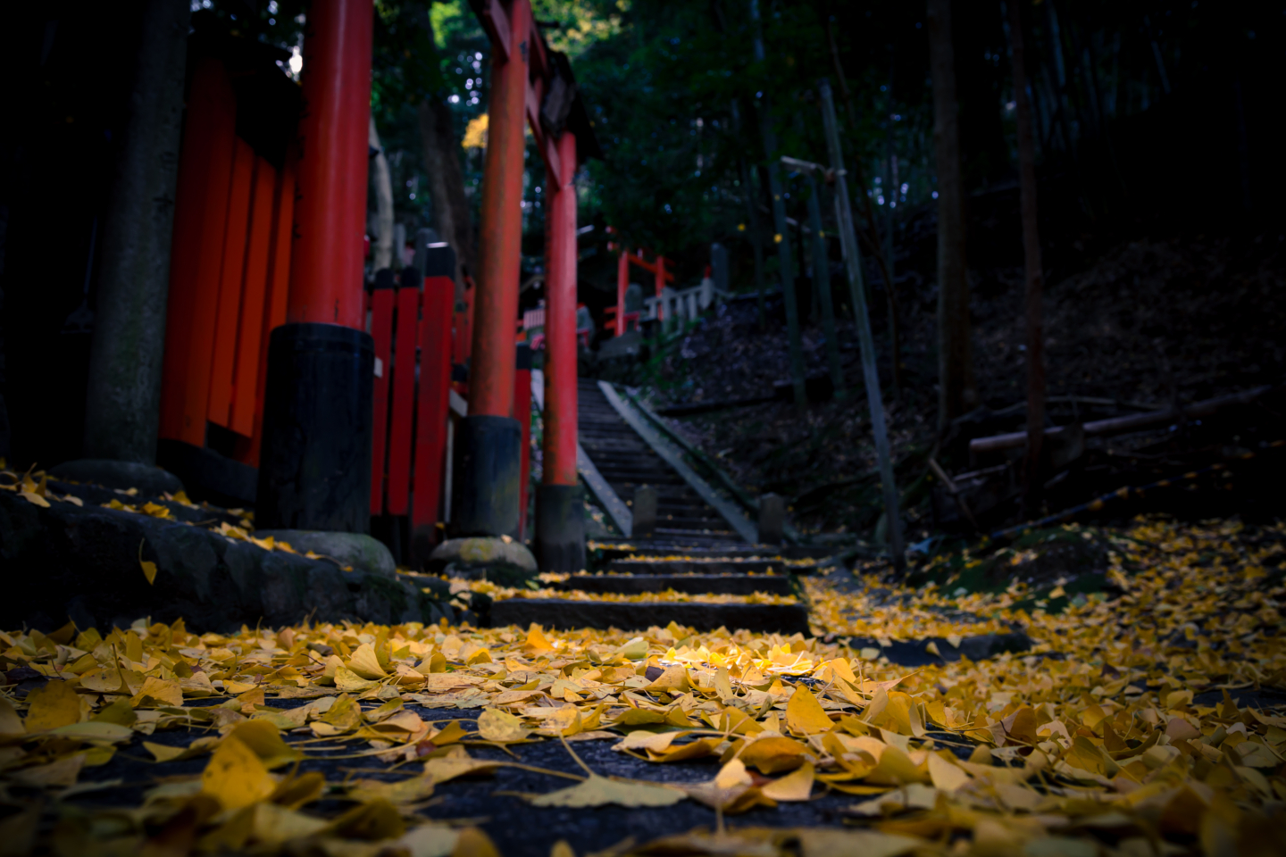 f:id:mosshm:20131130155646j:image:w720