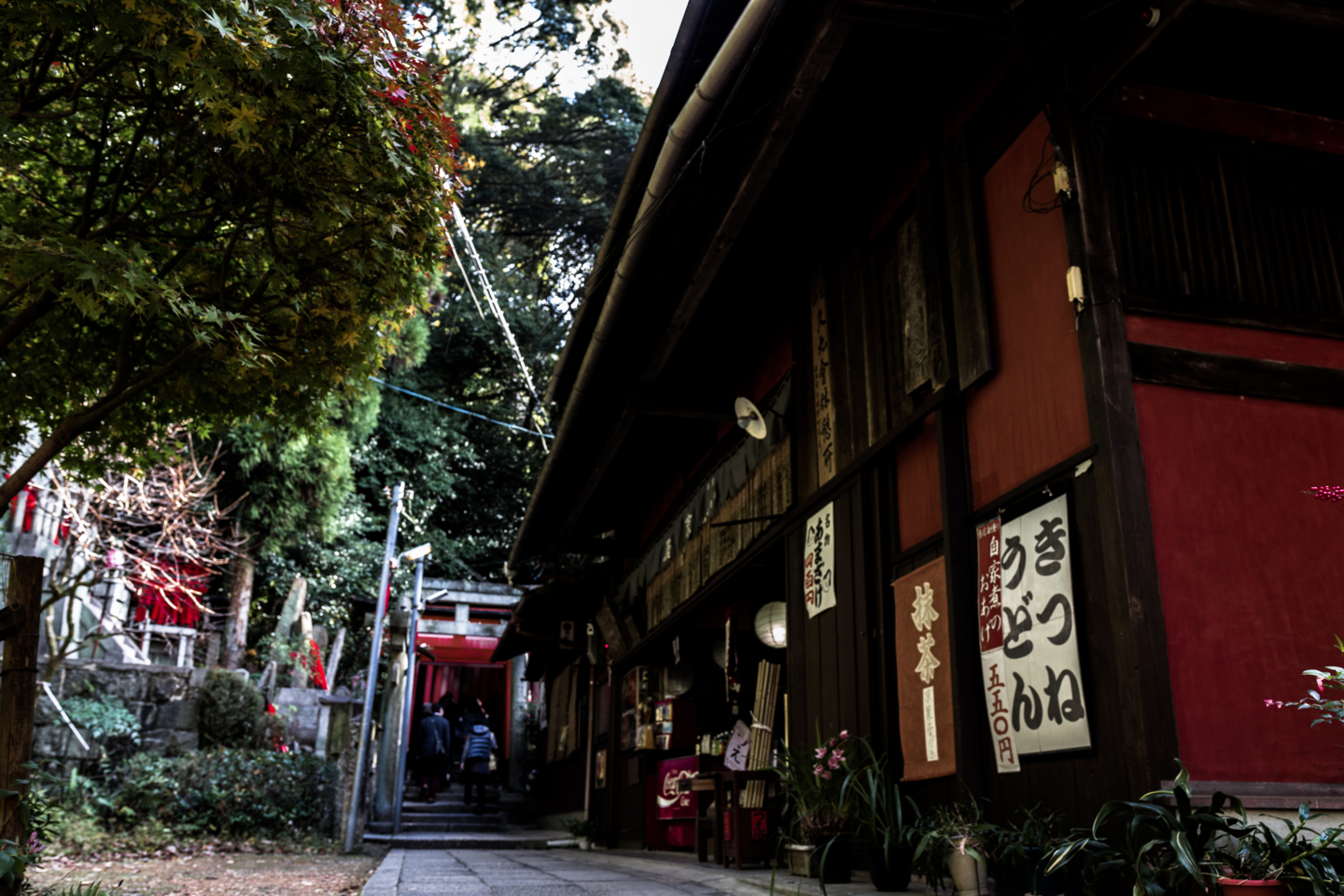 f:id:mosshm:20131130160723j:image:w720
