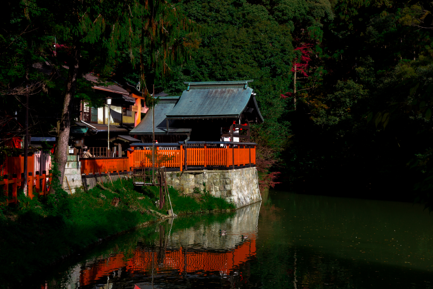 f:id:mosshm:20131130170221j:image:w720