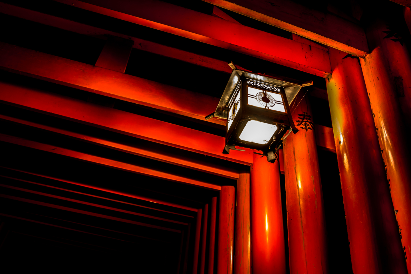 f:id:mosshm:20131130174027j:image:w720