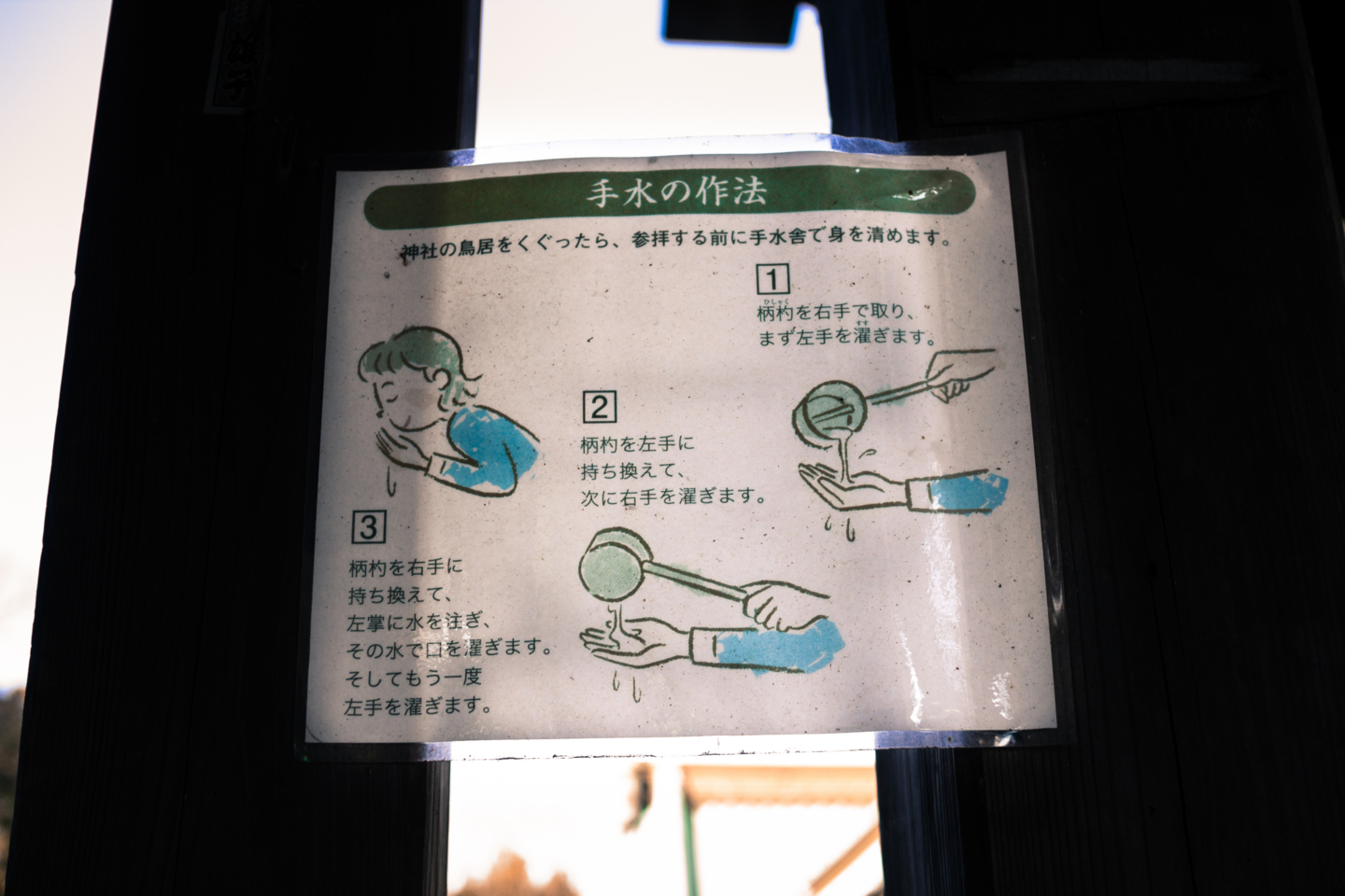 Albert 1974 Bryan Web 枚数限定 限定盤 Live Cd Lp 限定盤 Hall Cd Hall At 返品種別a 送料無料 Royal Joshin Cd Dvd店 輸入盤 At The Ferry Cd