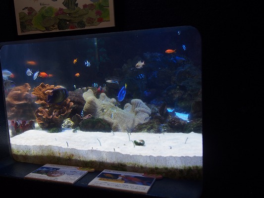 f:id:mosura8mosura:20190811133823j:plain f:id:mosura8mosura:20190811133823j:plain
