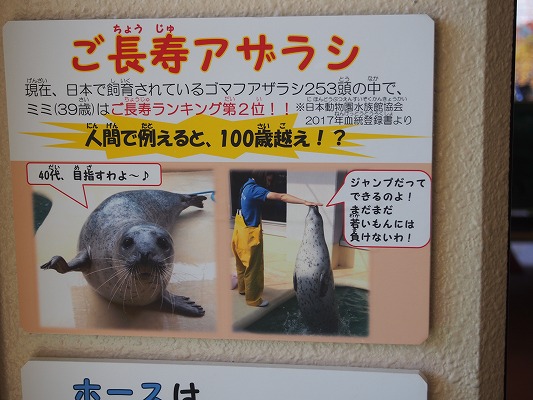 f:id:mosura8mosura:20190811134735j:plain f:id:mosura8mosura:20190811134735j:plain