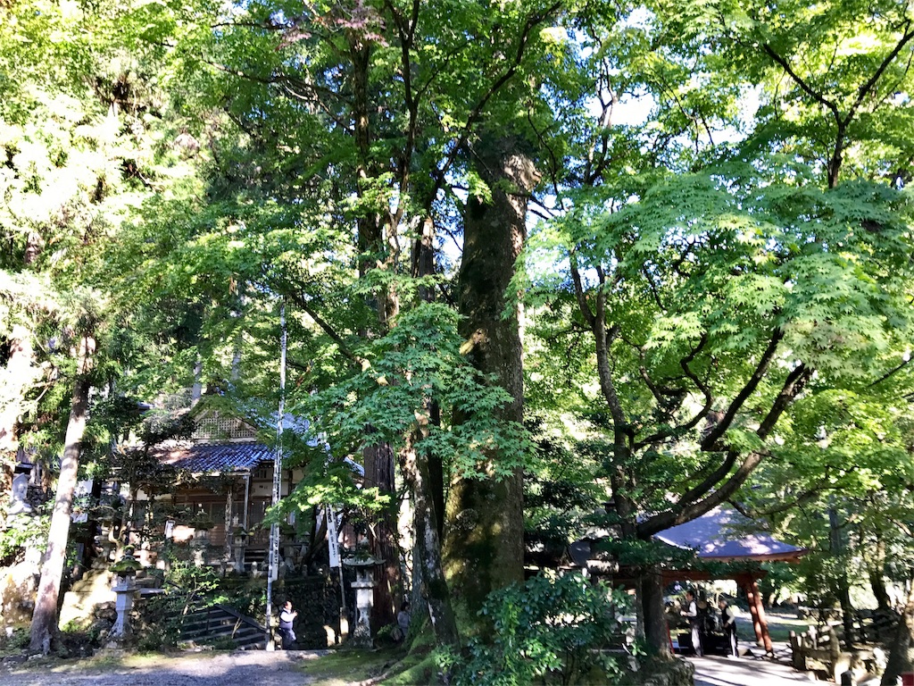 f:id:mot3:20171103174050j:image f:id:mot3:20171103174050j:image