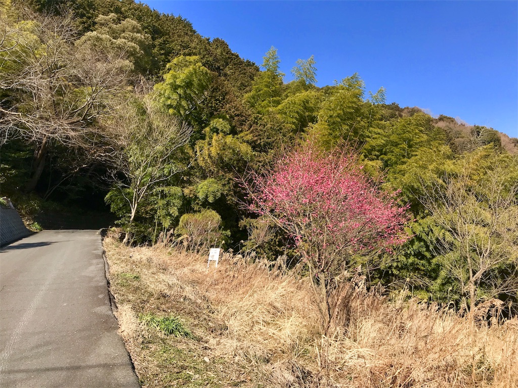 f:id:mot3:20180227203649j:image f:id:mot3:20180227203649j:image