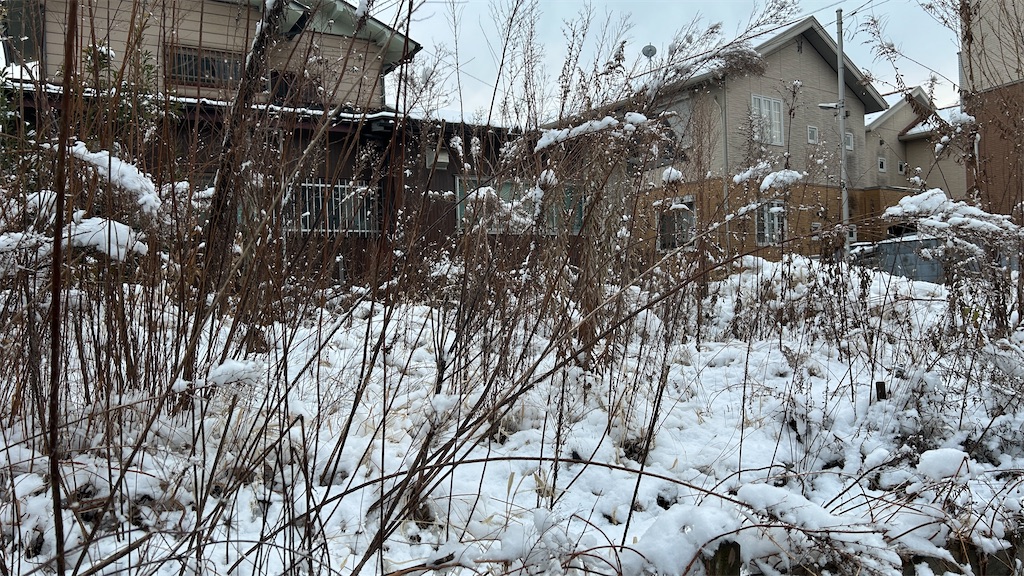 f:id:mot_shige:20260208222914j:image
