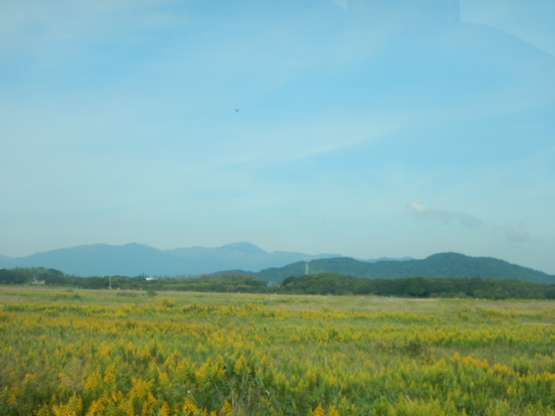 f:id:motagp:20161124193638j:plain